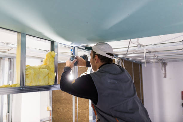Insulation Repair Services in Providence, UT