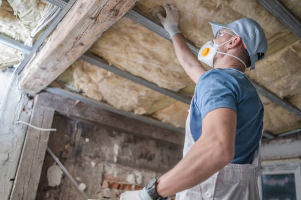 Best Insulation Repair Services  in Providence, UT